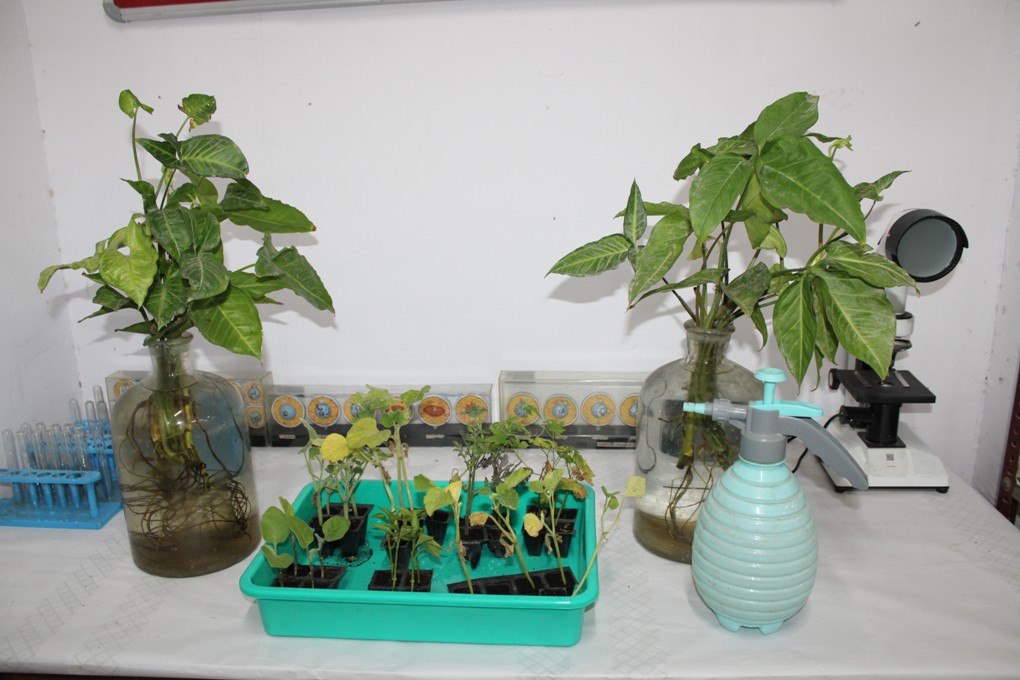 Agriculture Lab