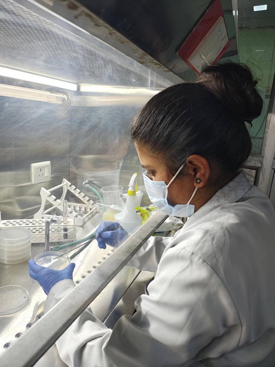 BSc Medical Microbiology in Dehradun