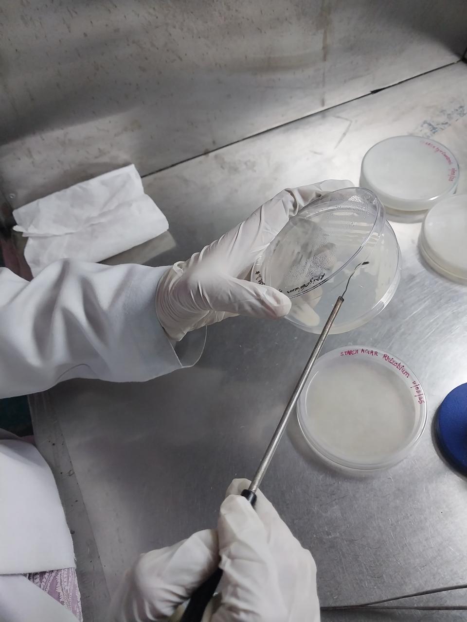 BSc Medical Microbiology in Dehradun