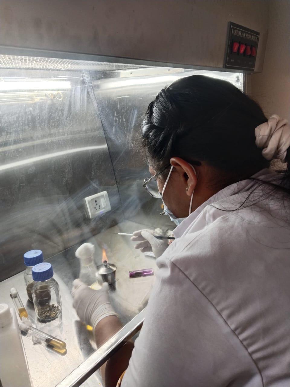 BSc Medical Microbiology in Dehradun