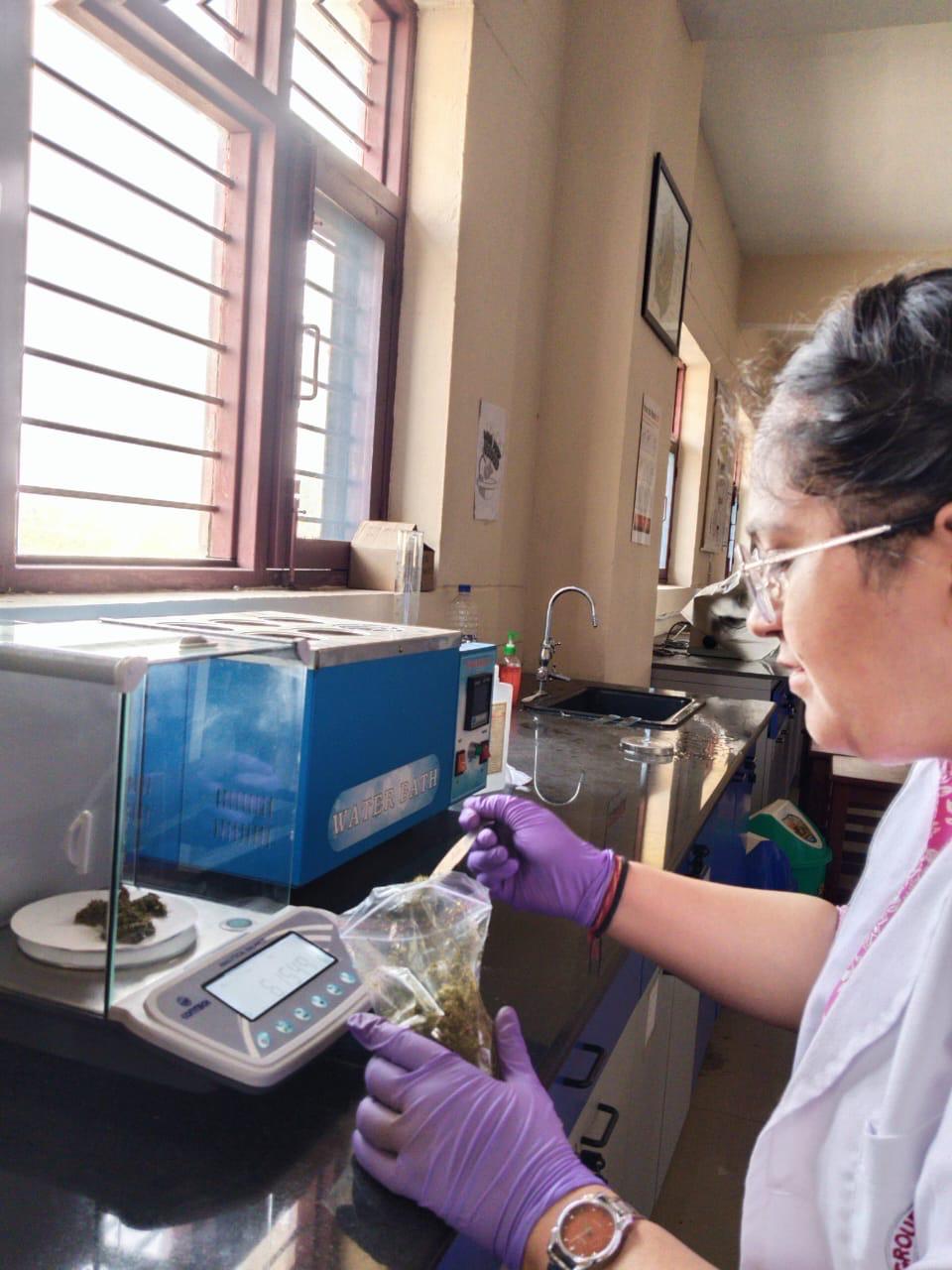 BSc Medical Microbiology in Dehradun