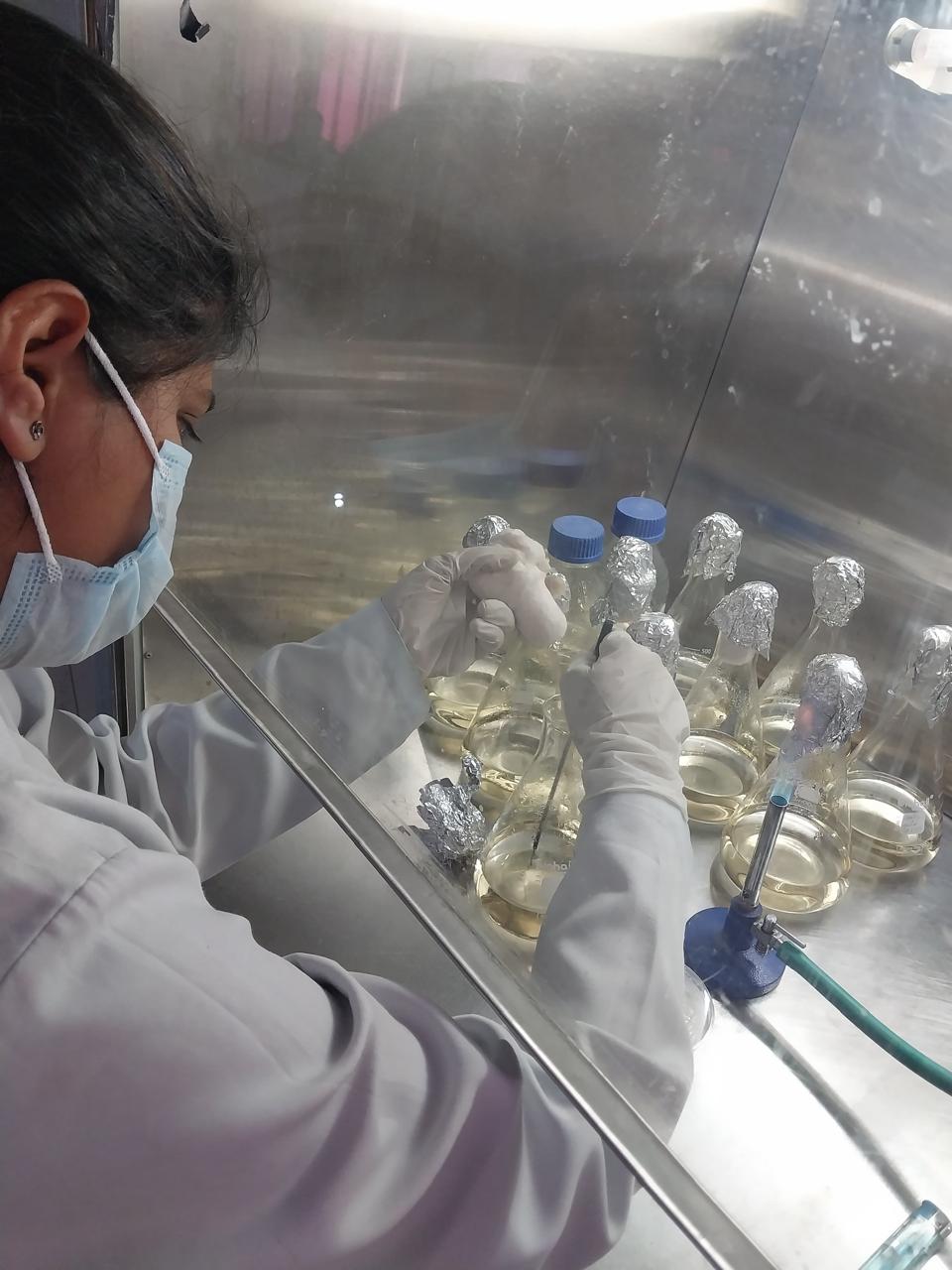 BSc Medical Microbiology in Dehradun